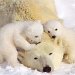 We Care About The Environment